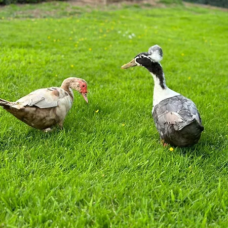 Le Clos Des Bansions *