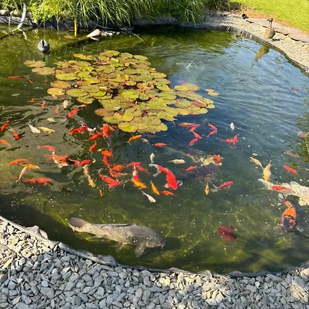 منزل للإقامة Le Clos Des Bansions *