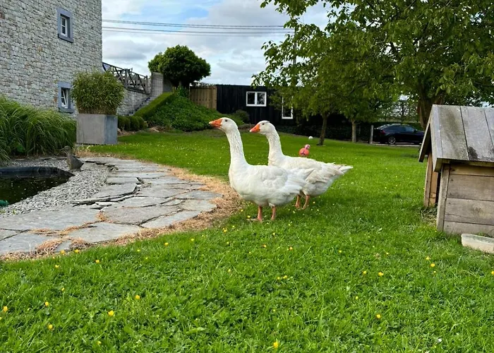 Le Clos Des Bansions Проживание в семье