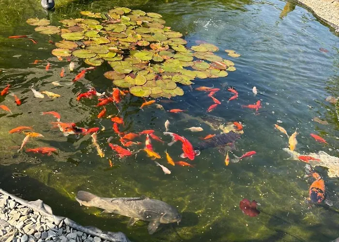 Проживание в семье Le Clos Des Bansions *